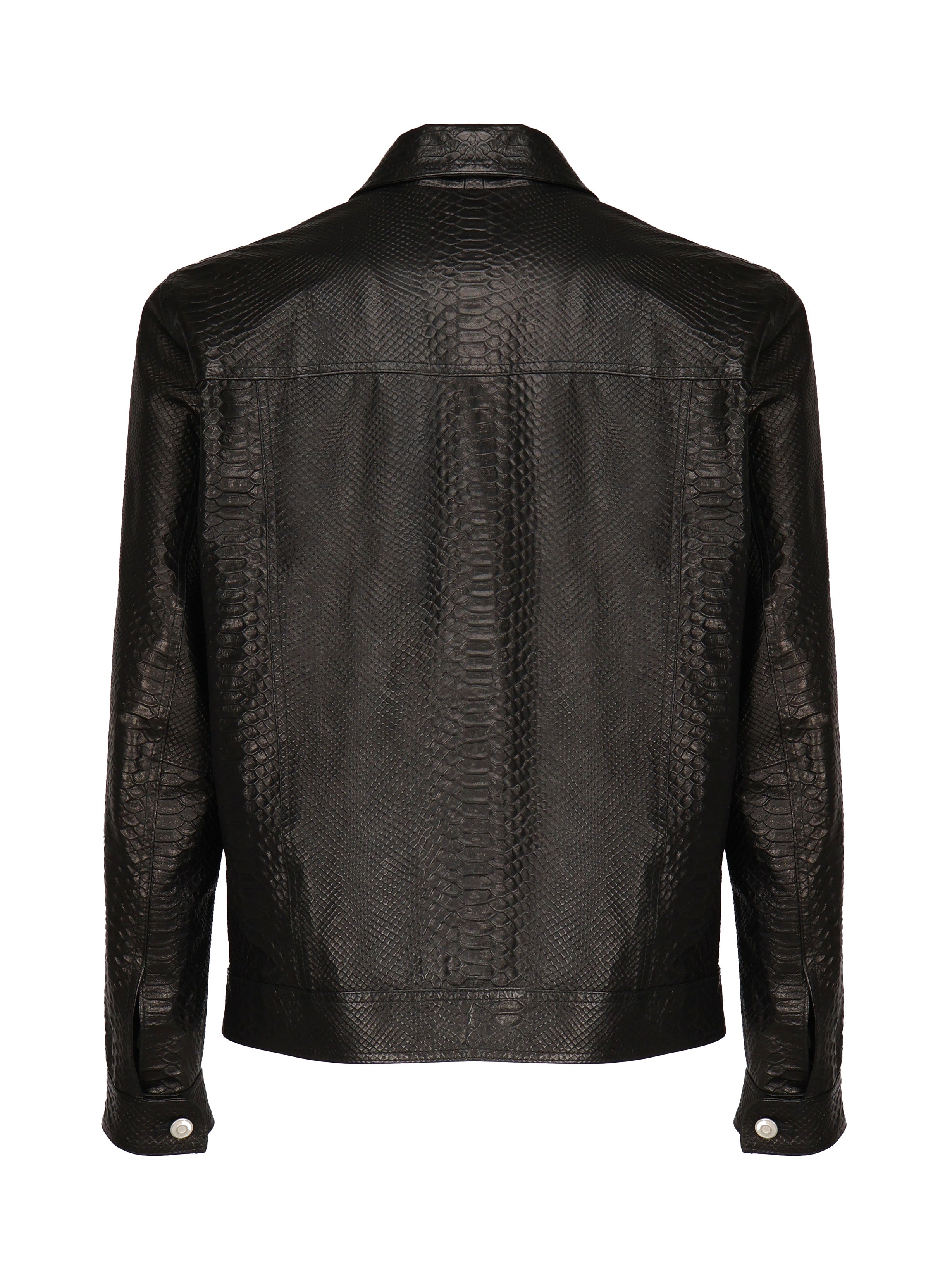 <tc>Jacket Python
</tc>