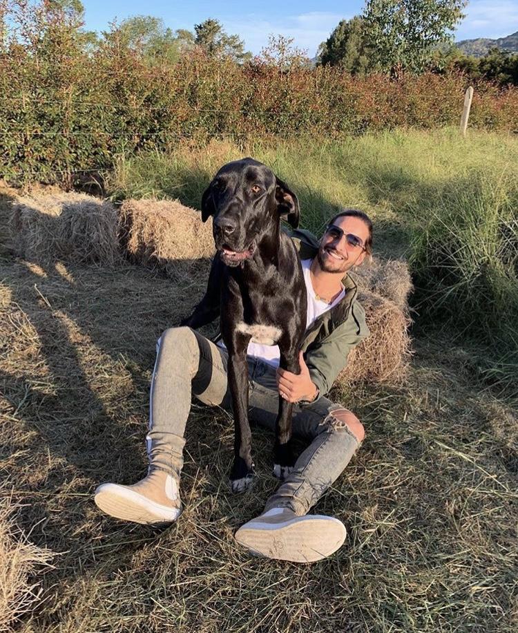 Beatols Beige | Beige | Wildleder X MALUMA