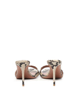 Alixia Sandal | Python Print | Rock