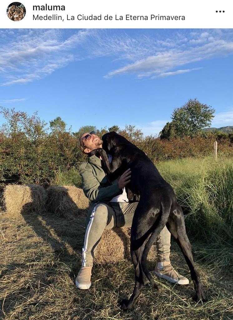 Beatols Beige | Beige | Suede X MALUMA | Limited Edition - Giuliano Galiano | Handcrafted Luxury Sneakers Made In Italy