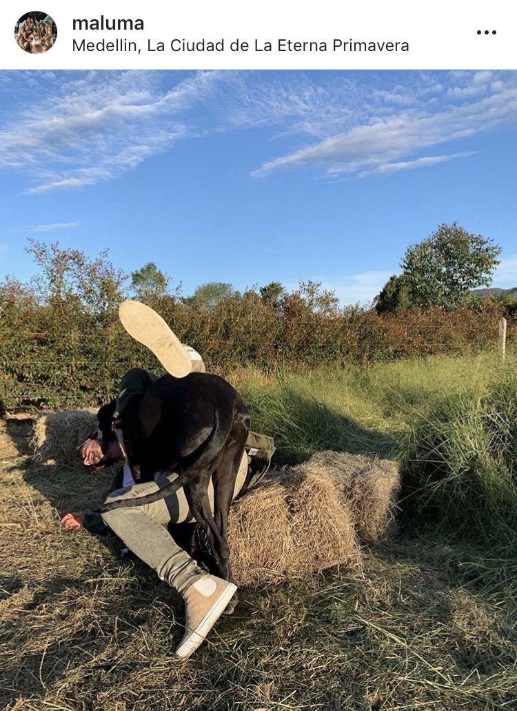 Beatols Beige | Beige | Suede X MALUMA | Limited Edition - Giuliano Galiano | Handcrafted Luxury Sneakers Made In Italy