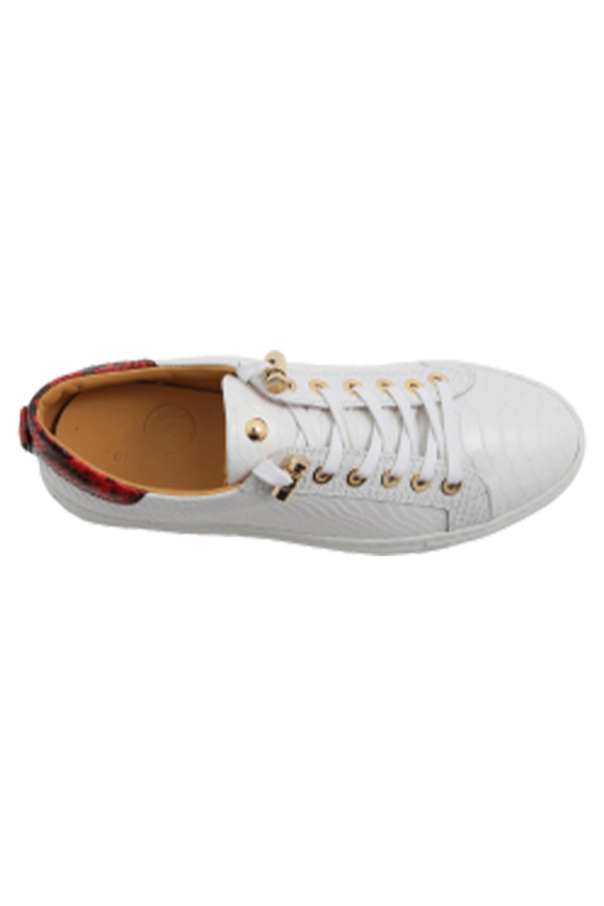 No Limits Low | White | Red | Python | Limited Edition - Giuliano Galiano | Handcrafted Luxury Sneakers Made In Italy
